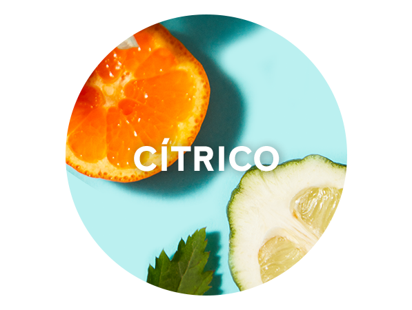 Cítrico