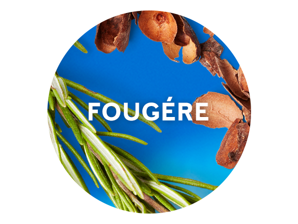 Fougére