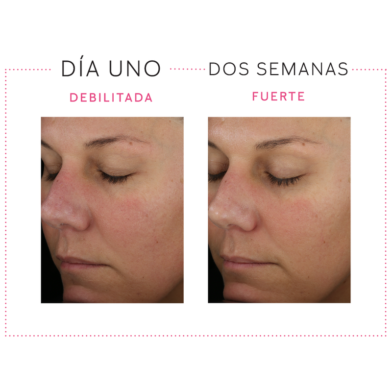 Loci&oacute;n Facial Restauradora de Barrera 1:1:3 Mary Kay Clinical Solutions&reg;