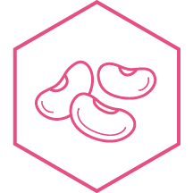Ilustraci&oacute;n del ingrediente frijol blanco.
