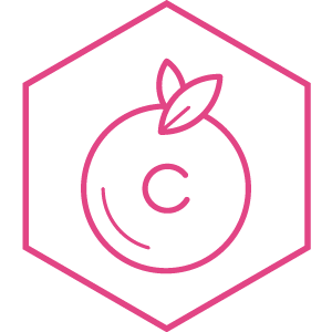 &Iacute;cono de ingrediente de Vitamina C.