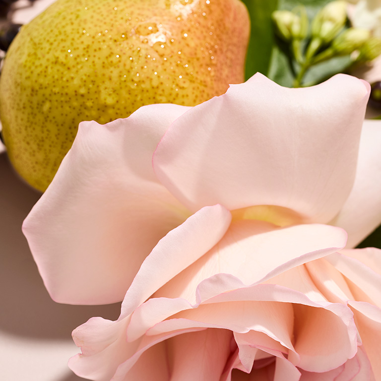 Jugosa pera, rosa y plantas de jazm&iacute;n, ingredientes de Mary Kay Confidently You Eau de Parfum.