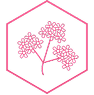 &Iacute;cono de flor de verbena en un hex&aacute;gono rosa