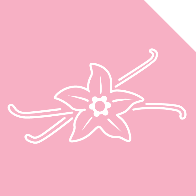 Ilustraci&oacute;n de flor de vainilla